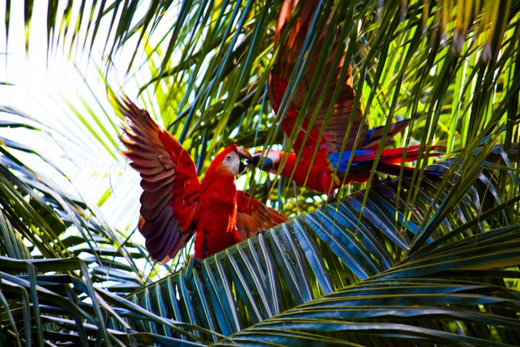 Cheap Flights from Miami - June 5 9 Cheap Flights from Miami - June 5 8