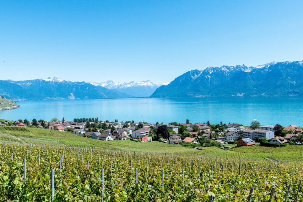 Cheap Flights from Salt Lake City - August 14 3 Cheap Flights from Salt Lake City - August 14 2