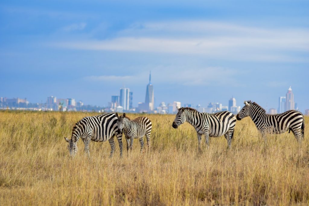 Cheap Flights from Philadelphia - June 30 3 Cheap Flights from Philadelphia - June 30 2